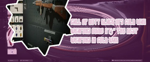 Call of duty cold war best guns