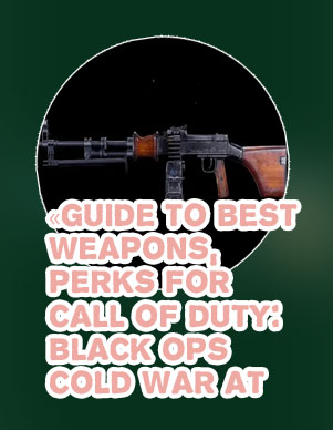 Call of duty cold war guns