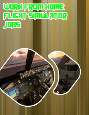 Home flight simulator